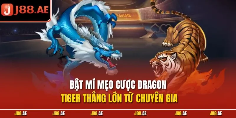 Bật mí mẹo cược Dragon Tiger thắng lớn từ chuyên gia