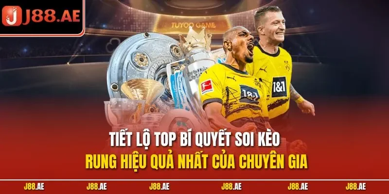 Tiết lộ top bí quyết soi kèo rung hiệu quả nhất của chuyên gia